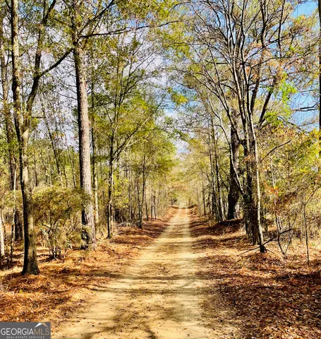 $225,000 | 829 Pope Road, Roberta, GA 31078