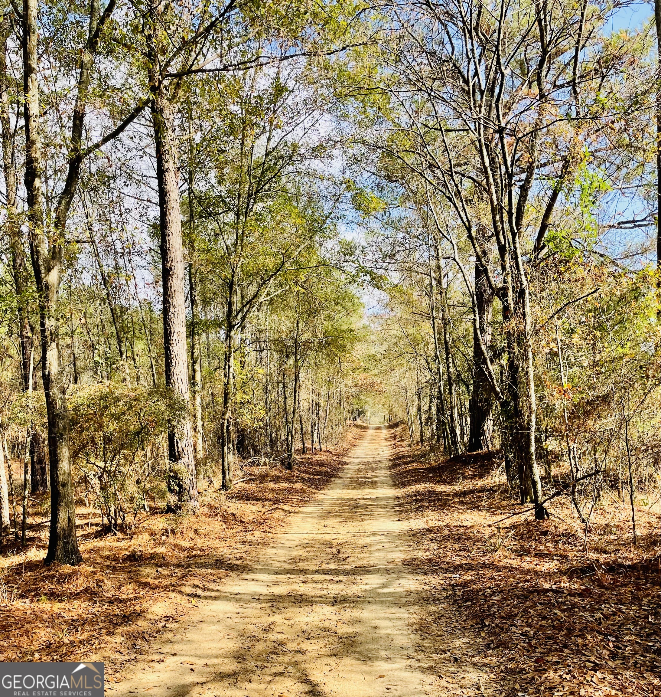 829 Pope Road Roberta, GA 31078 - Photo 5 of 39