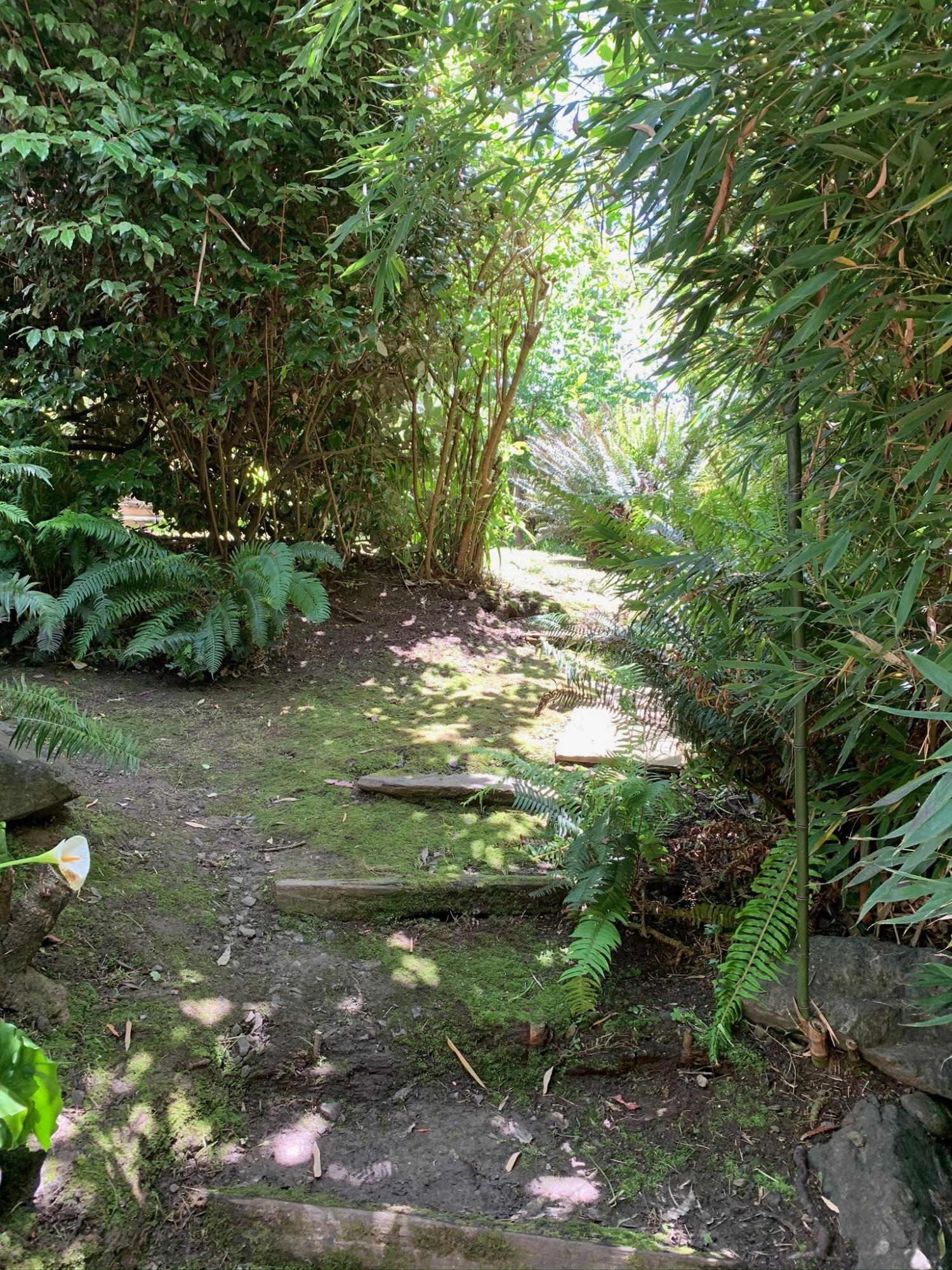 579 Bayside Road Arcata, CA 95521 - Photo 18 of 32 IMG_0686