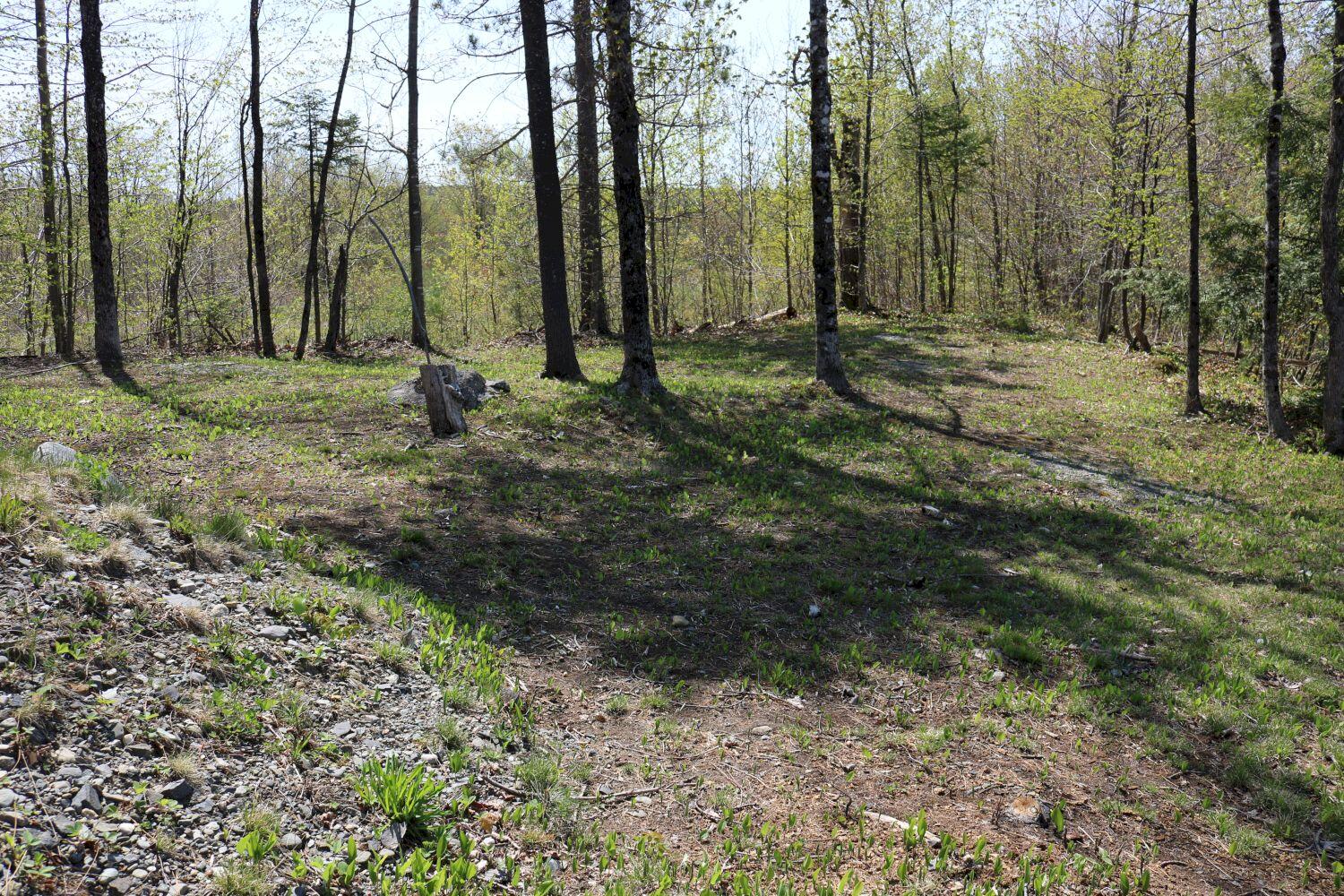 720 Brighton Road Athens, ME 04912 - Photo 51 of 51 IMG_3659