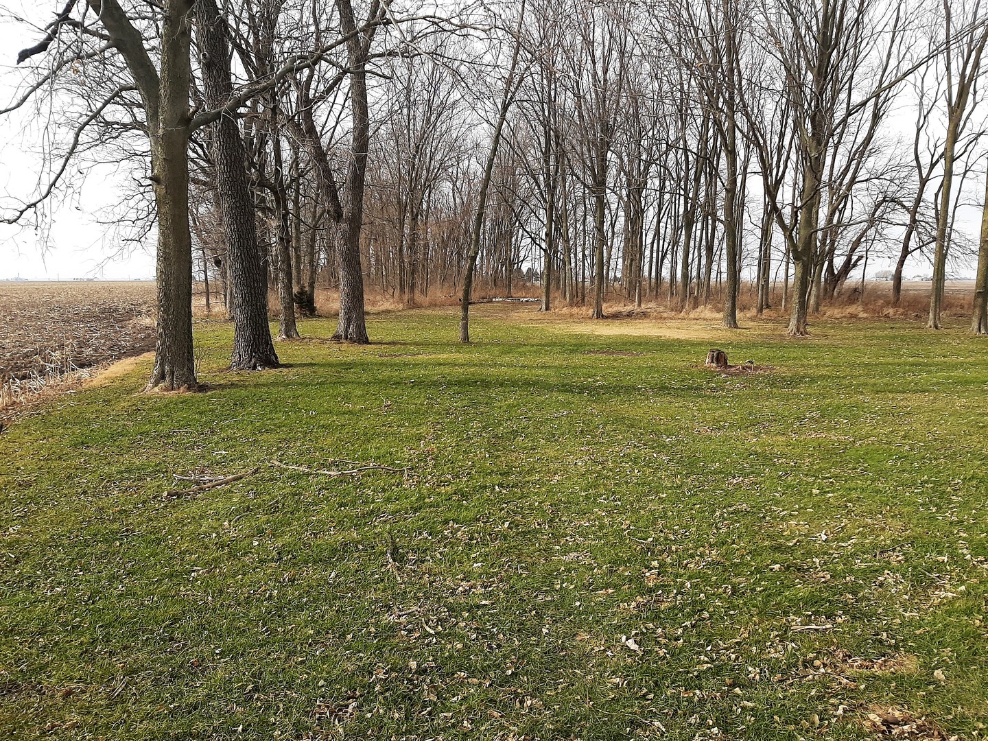1449 Town Line Road Steward, IL 60553 - Photo 31 of 32 a huge green field with lots of trees