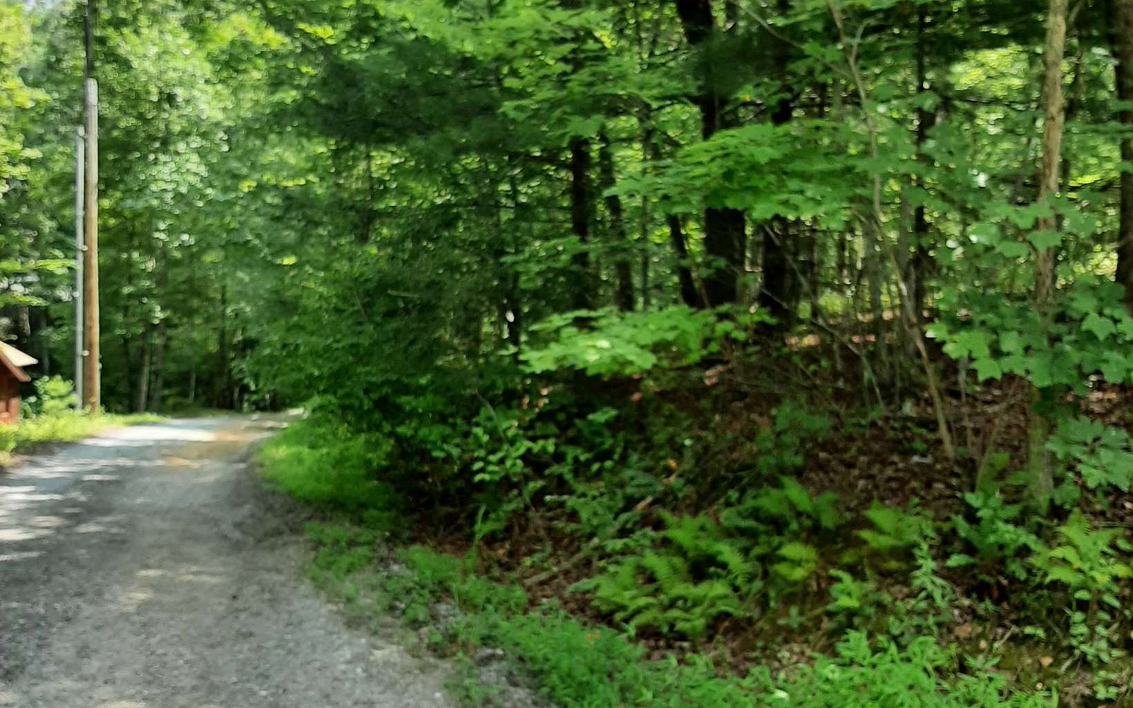 Weaver Trail Blue Ridge, GA 30513 - Photo 1 of 4 Main View