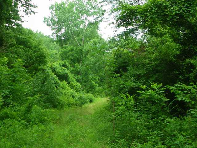 1 Headleys Mill Road Southwest Pataskala, OH 43062 - Photo 1 of 1