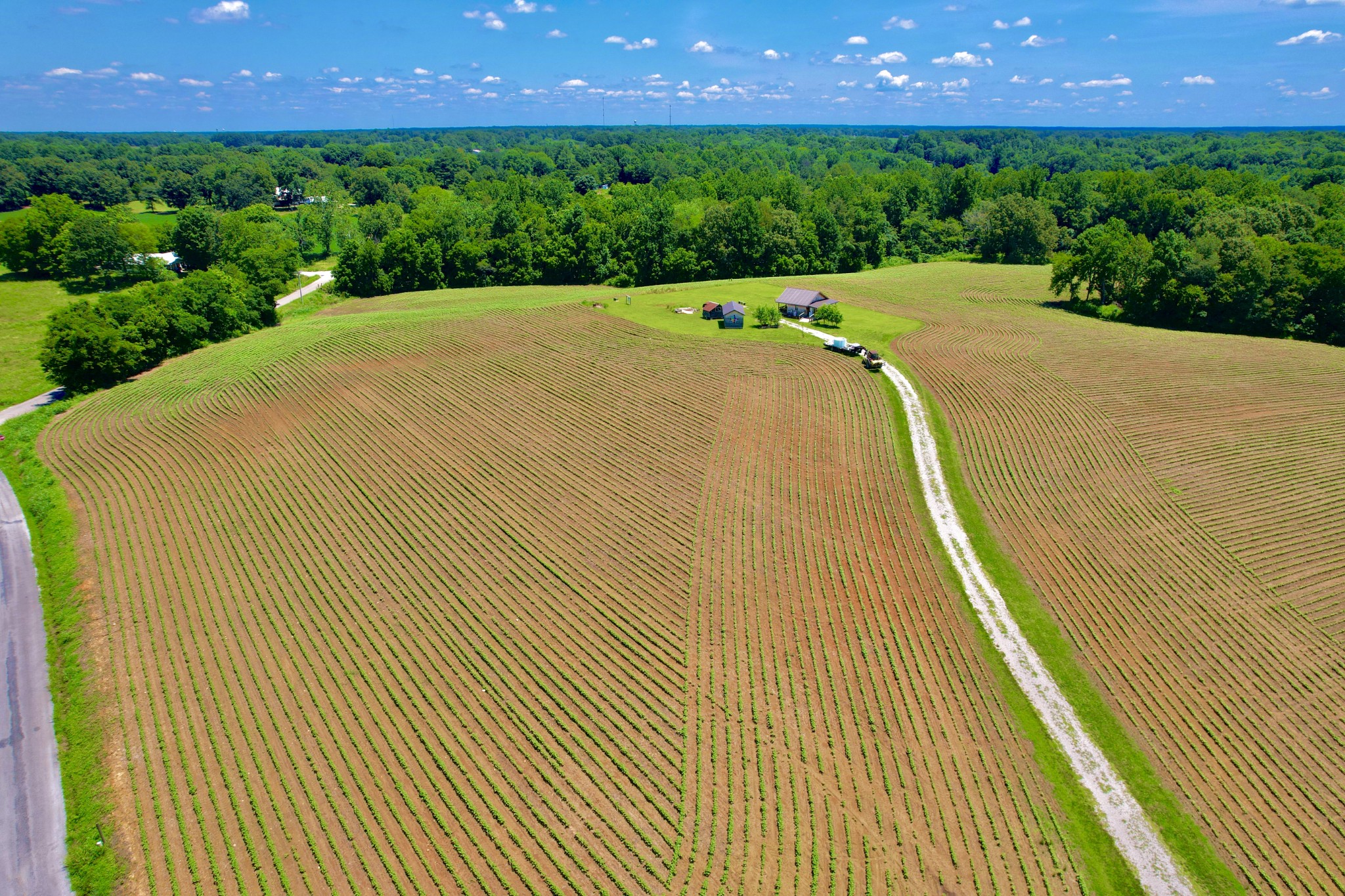 8 Lambs Ferry Road Leoma, TN 38468 - Photo 7 of 53