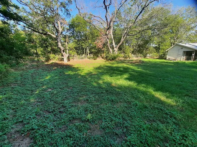 a view of yard with green space