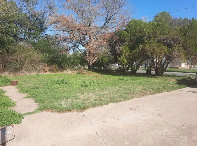 a view of a park with large trees