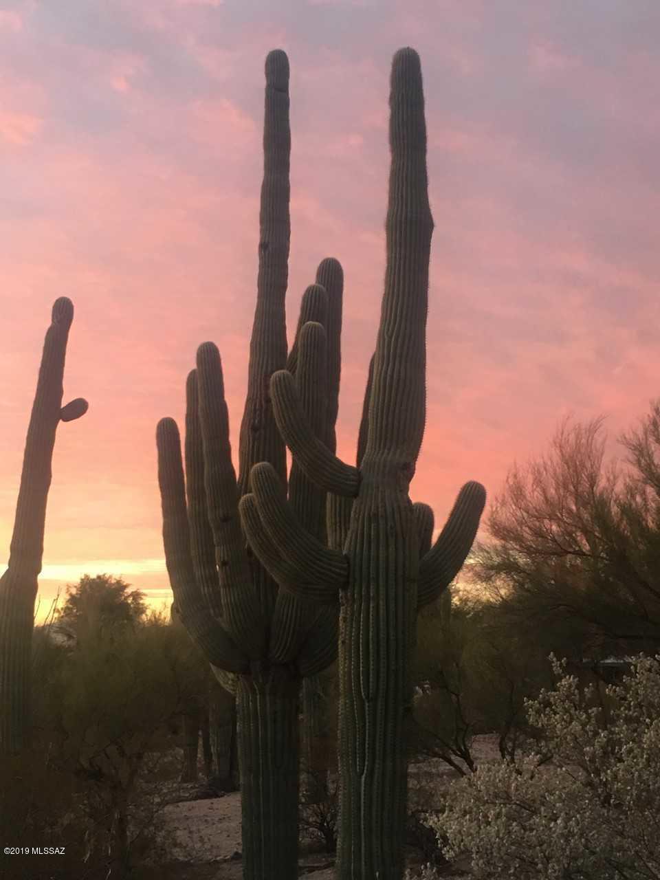 6501 North Montebella Road Tucson, AZ 85704 - Photo 49 of 50 Gallery Image 49