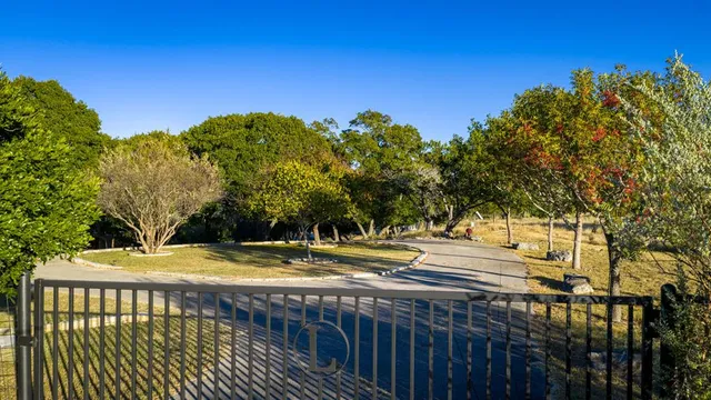 a view of a tree in a yard