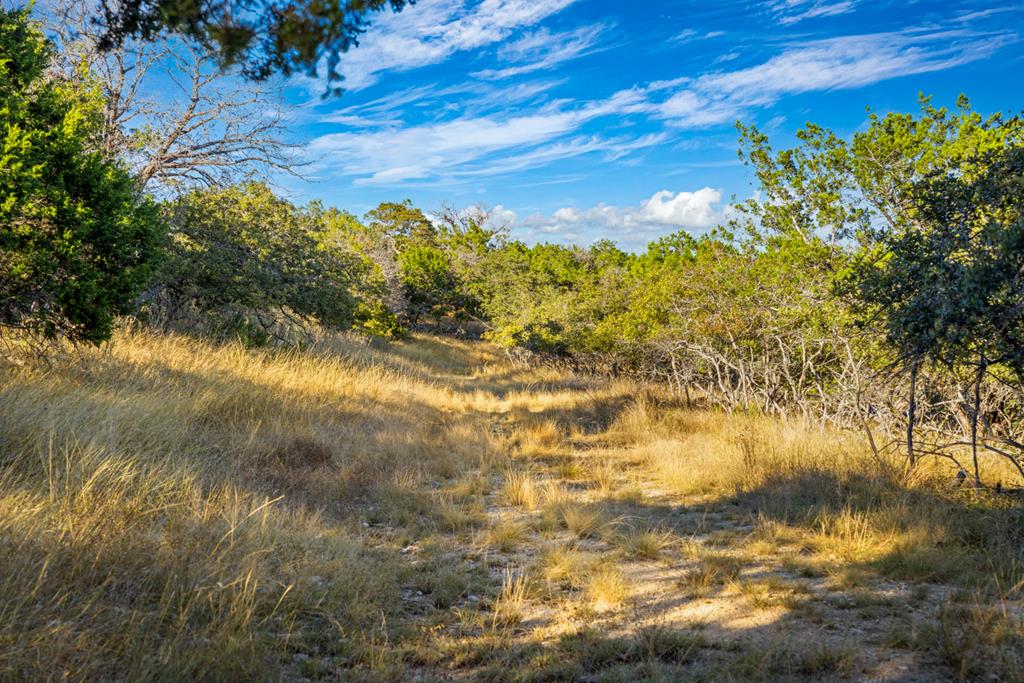 326 River Valley Road South Ingram, TX 78025 - Photo 44 of 68 Ranch Sendero
