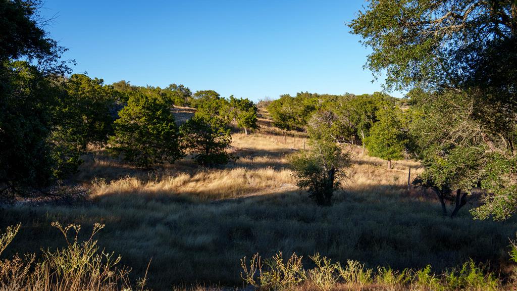 326 River Valley Road South Ingram, TX 78025 - Photo 49 of 68 Landscape