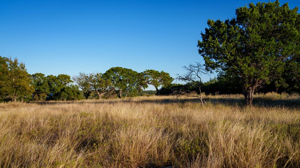 326 River Valley Road South Ingram, TX 78025 - Photo 50 of 68 Landscape