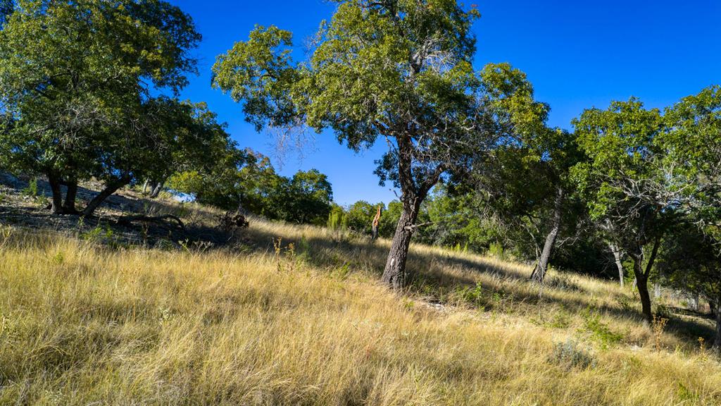 326 River Valley Road South Ingram, TX 78025 - Photo 51 of 68 Landscape
