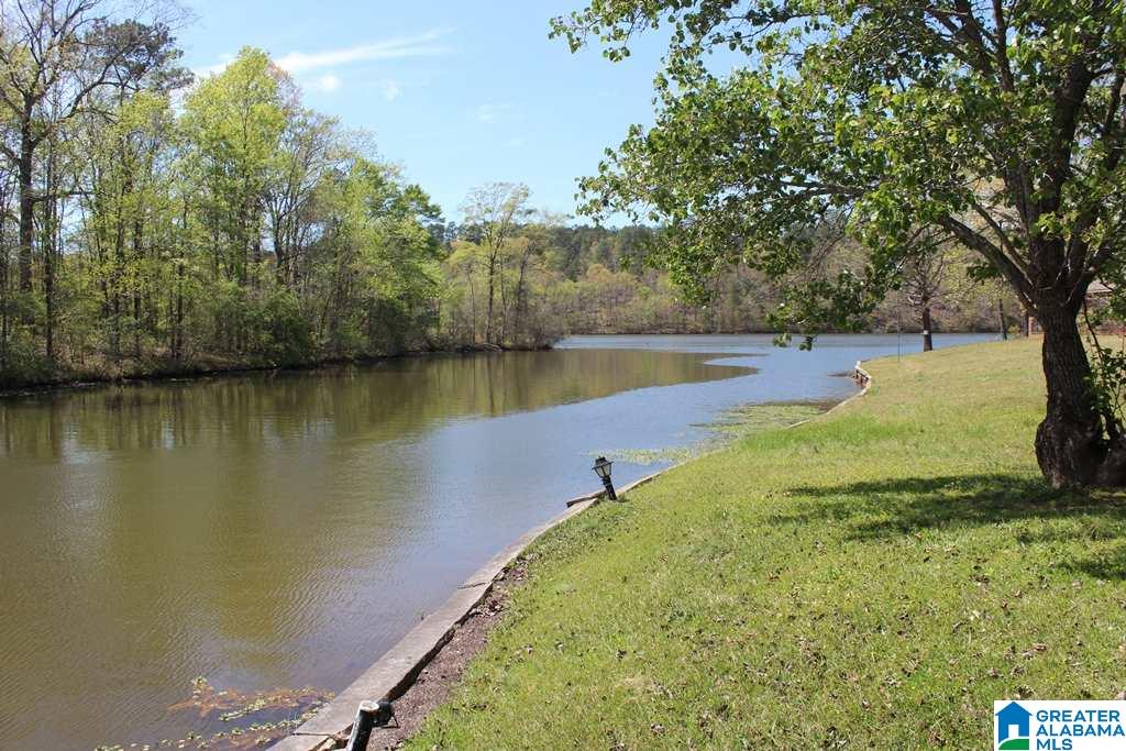 81 Windward Way Sylacauga, AL 35151 - Photo 4 of 28