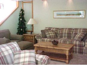 6 Hilltop Road, Unit 57 Winhall, VT 05340 - Photo 3 of 9