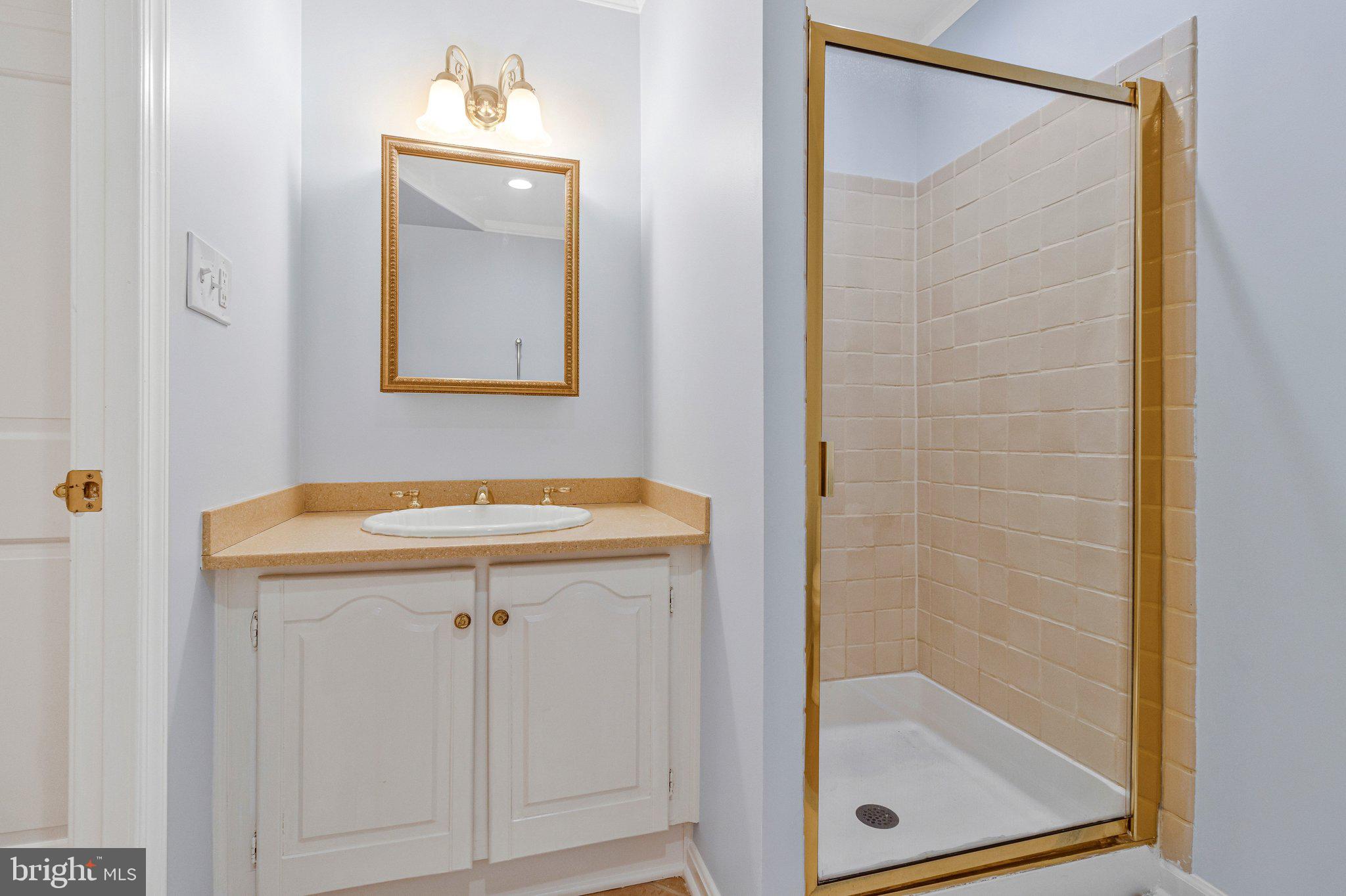 4512 Tournay Road Bethesda, MD 20816 - Photo 41 of 49 Full bath in lower level with shower & vanity