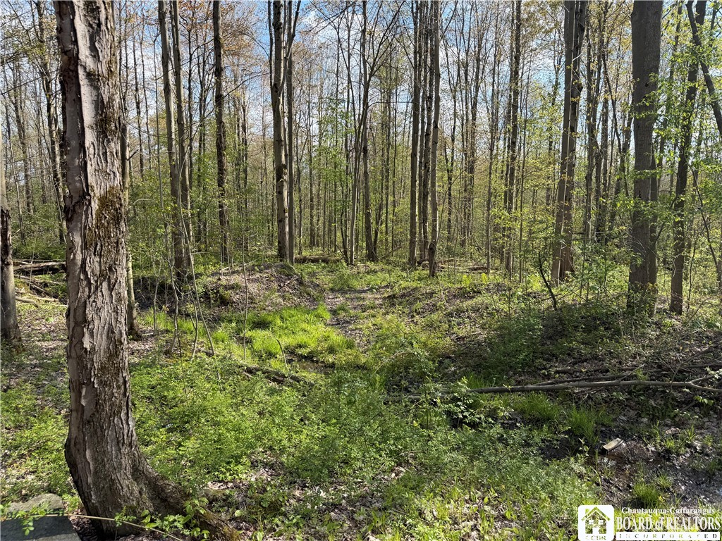 0 Scott Hill Road Kennedy, NY 14747 - Photo 9 of 16