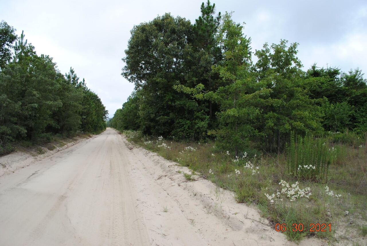 0 Norton Mill Road Wrens, GA 30833 - Photo 1 of 1 a view of a lake view with a wooden bridge