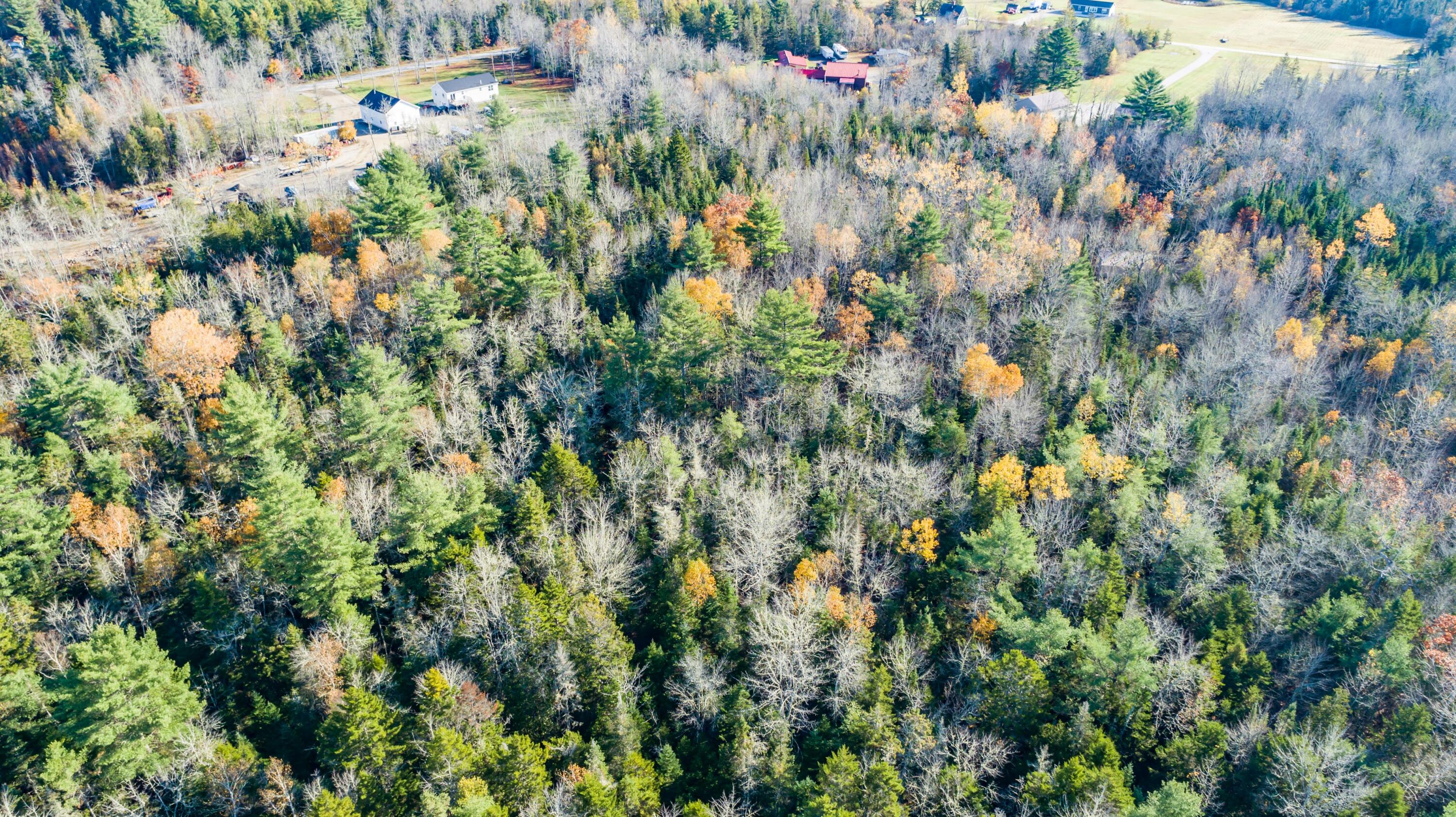 72 Alder Road Orland, ME 04472 - Photo 3 of 14 Gilpin Road Land Aerials-7