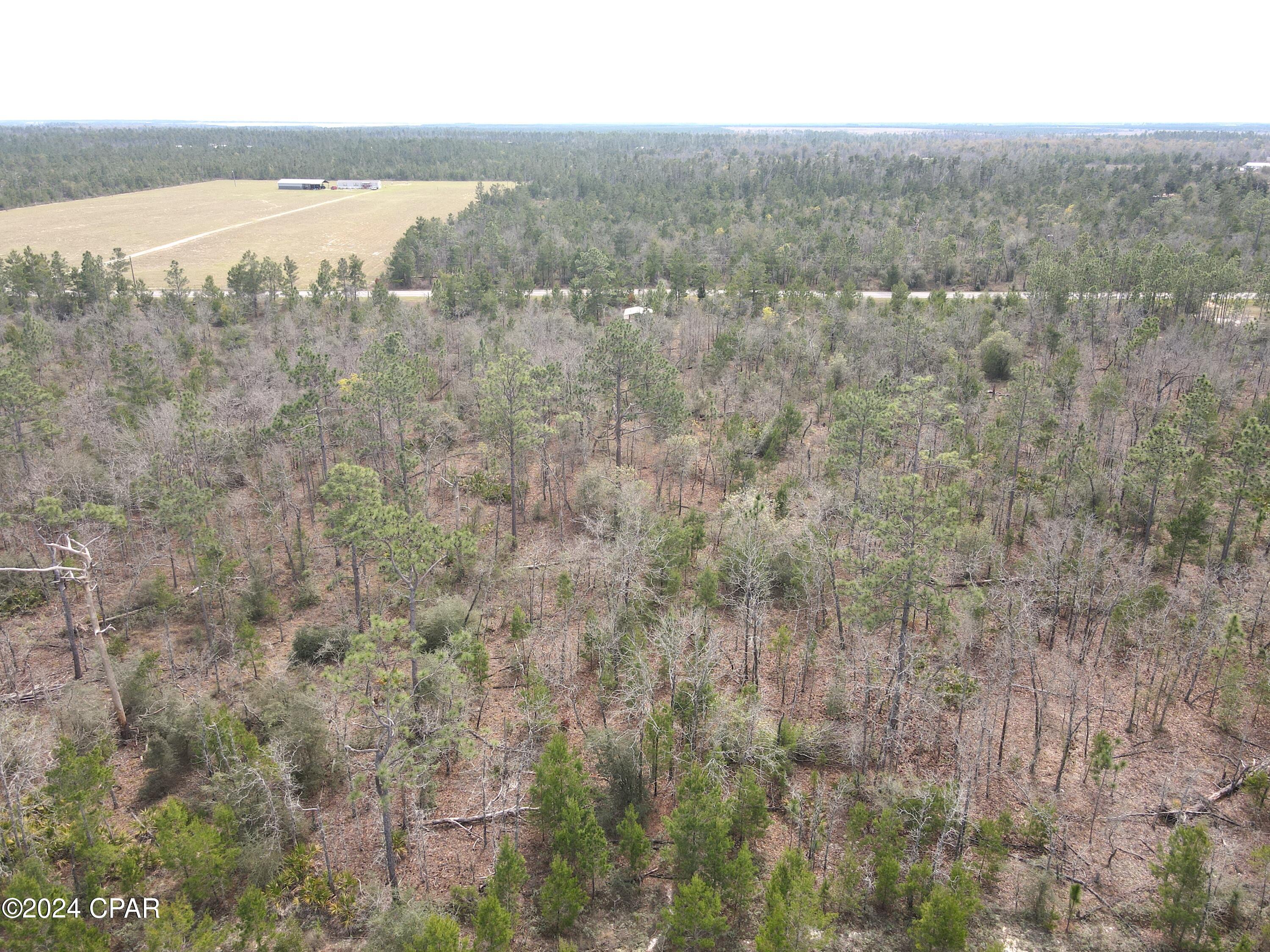 0 Northwest Martin Sewell Road Altha, FL 32421 - Photo 7 of 21 Gallery Image 7