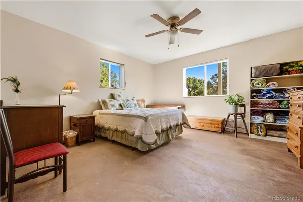 a spacious bedroom with a bed a couch and a bookshelf with wooden floor