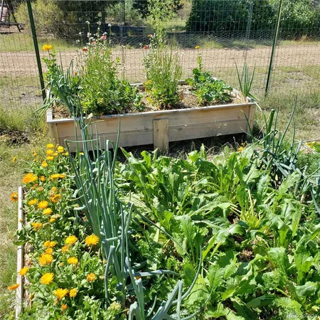 a view of a garden with plants
