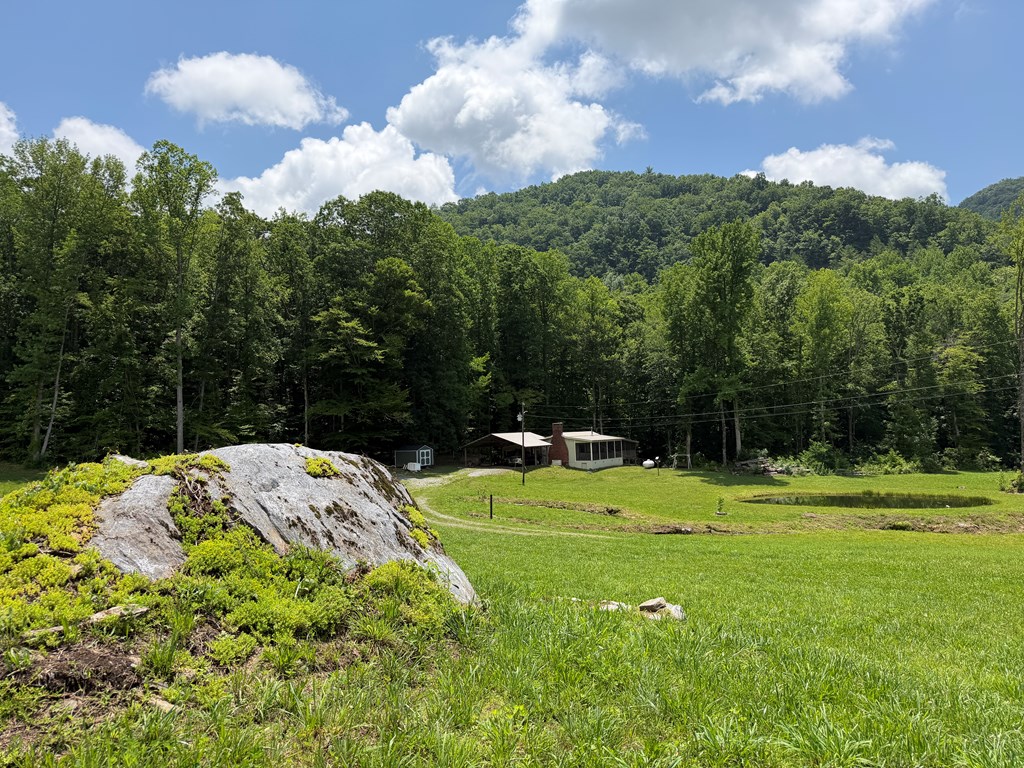 1446 Muskrat Creek Road Hayesville, NC 28904 - Photo 23 of 108