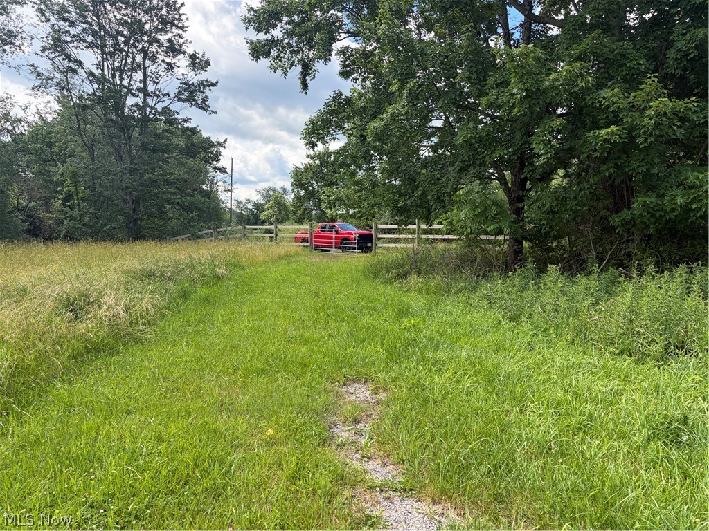 15441 Johnson Road Lisbon, OH 44432 - Photo 16 of 45 Yard