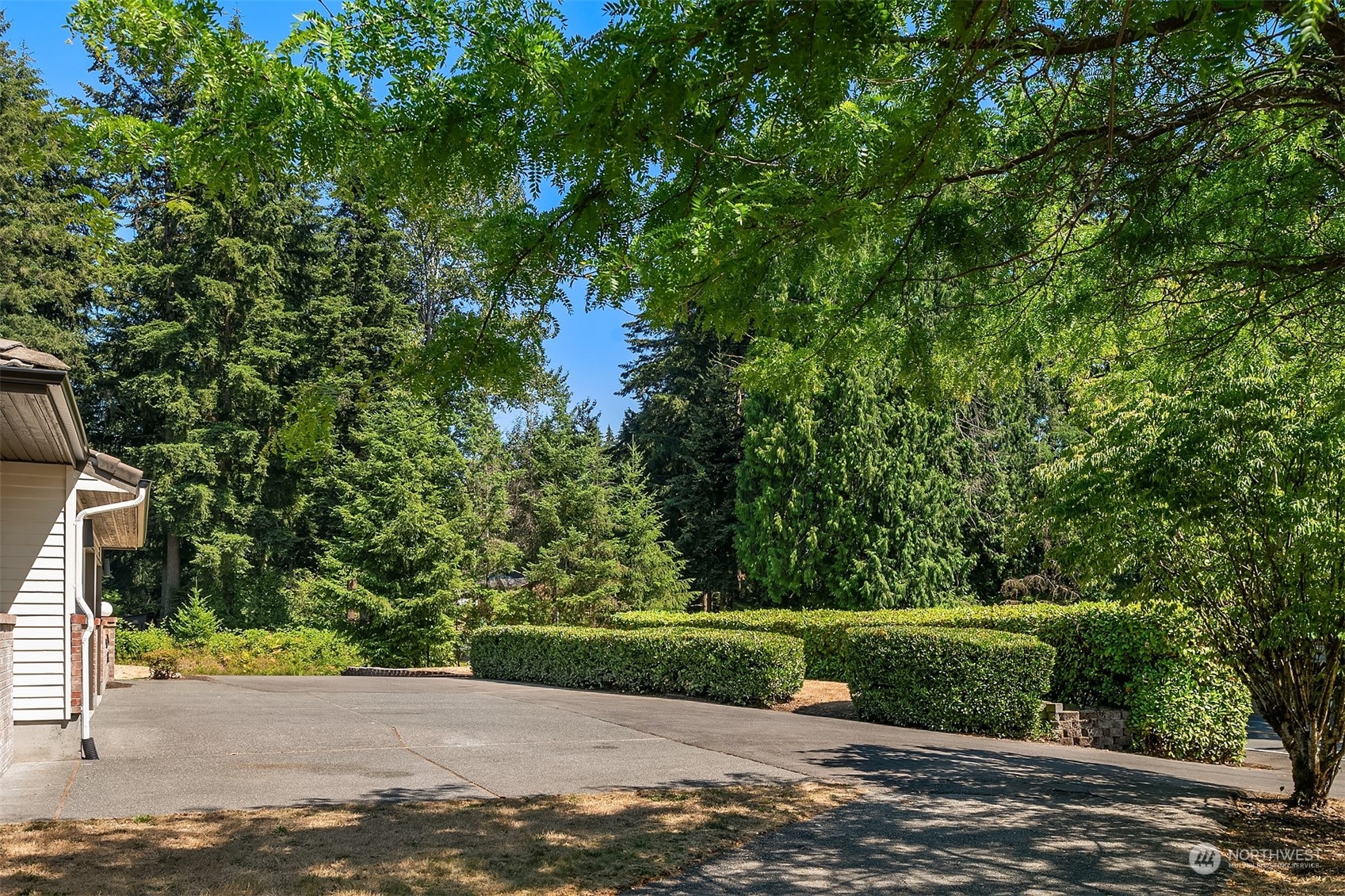 16254 Southeast 144th Street Renton, WA 98059 - Photo 27 of 29 a view of a yard