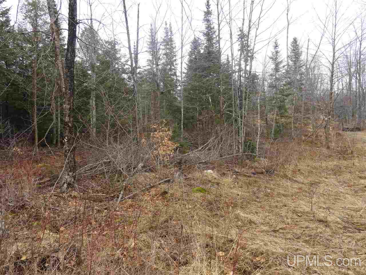 40-acres East Edge Road Germfask, MI 49836 - Photo 11 of 24 Gallery Image 11
