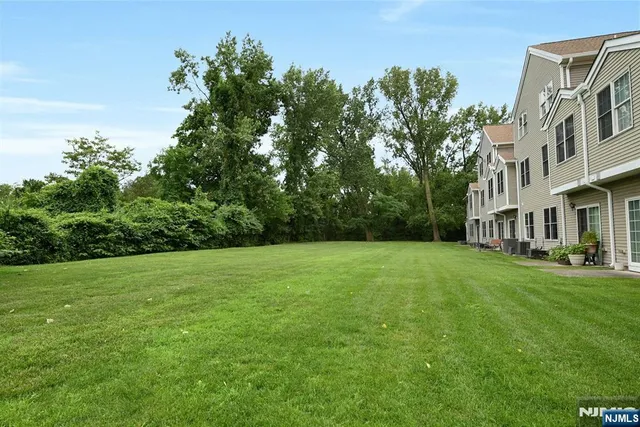 a view of a big yard with plants and large trees