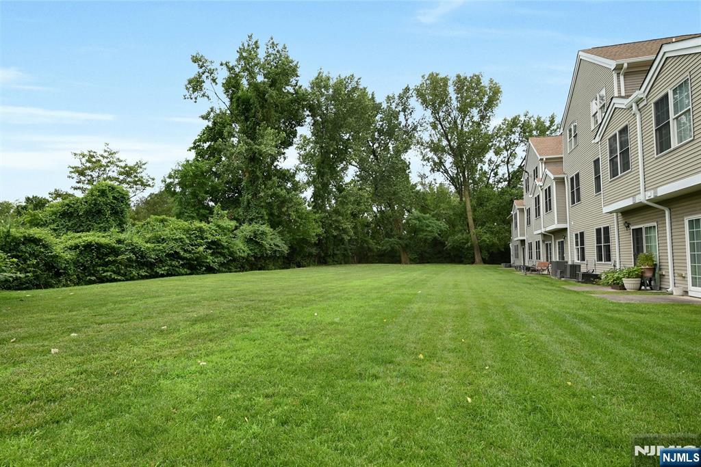a view of a big yard with plants and large trees