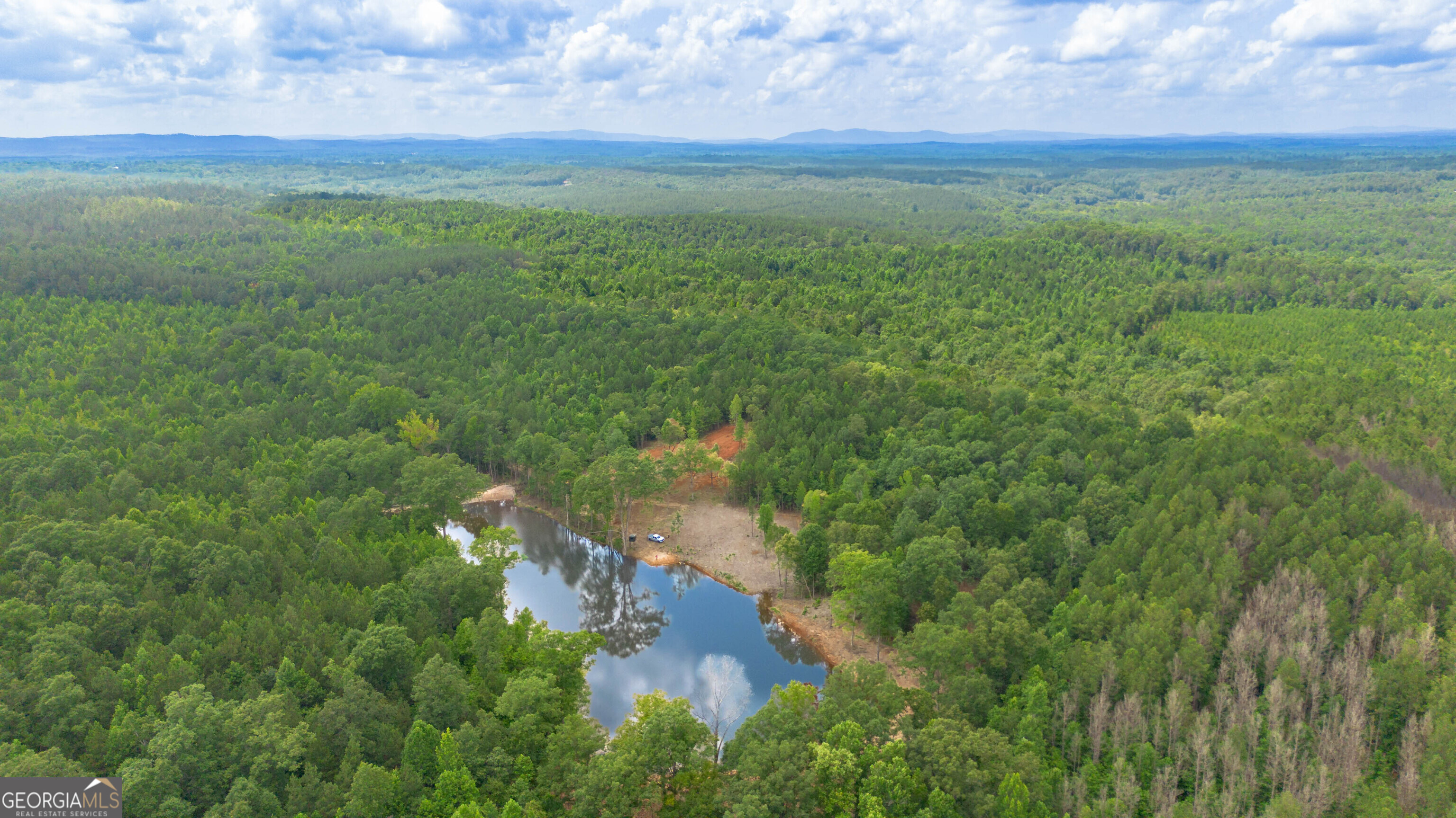 0 Vineyard Fruithurst, AL 36262 - Photo 9 of 21