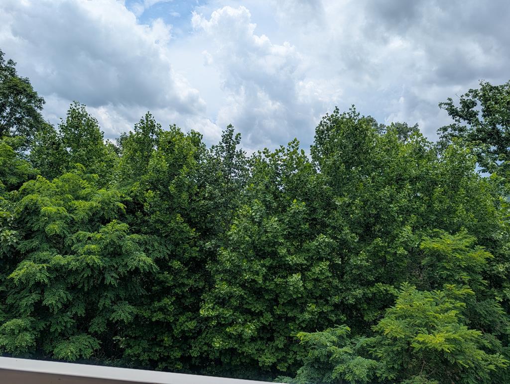 388 Ross Ridge Road Blairsville, GA 30512 - Photo 12 of 28