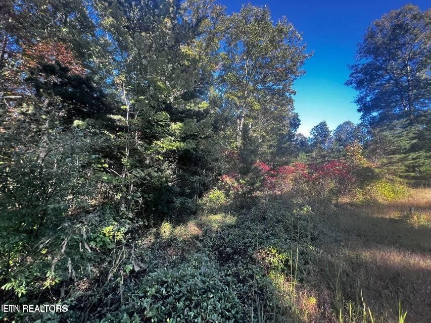 0 Falling Leaf Road Jamestown, TN 38556 - Photo 15 of 35 Gallery Image 15