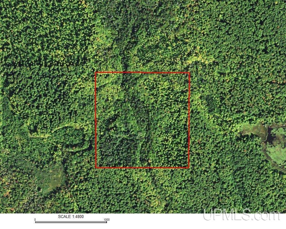 Tbd Melstrand Tbd Melstrand Mosquito Stub Road Shingleton, MI 49884 - Photo 2 of 29