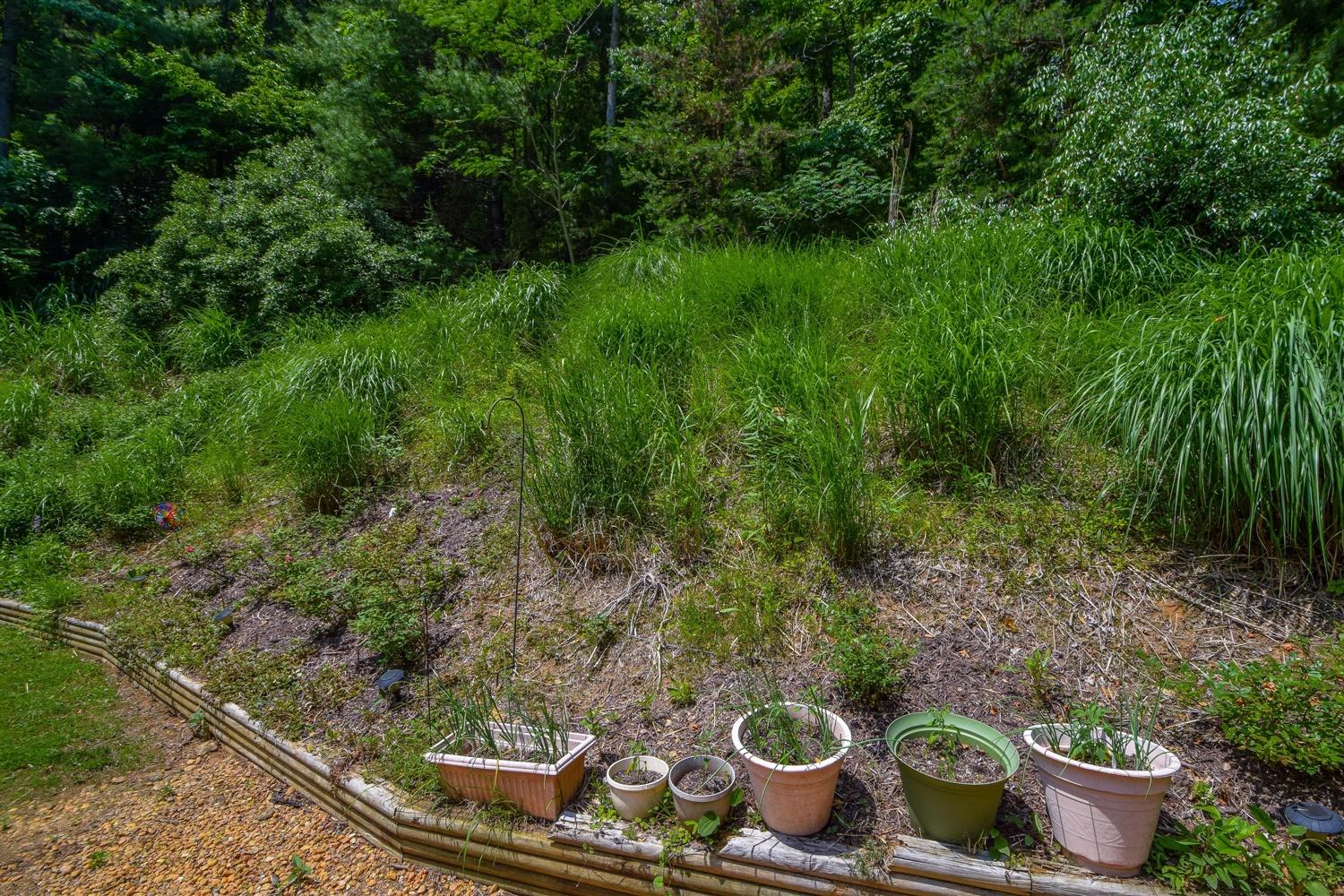 7511 Mt Chestnut Road Roanoke, VA 24018 - Photo 35 of 41 35-Photo-35