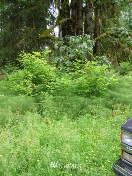 51217 Alder Loop Road Gold Bar, WA 98251 - Photo 1 of 1