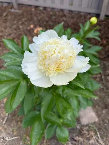 $365,000 | 4089 Collonade Court, Haw River, NC 27258