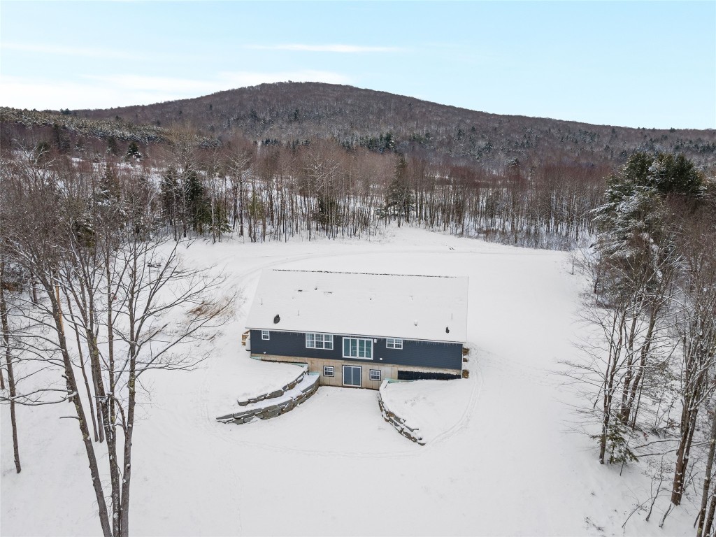 125 Hawkins Road Nineveh, NY 13813 - Photo 3 of 43 Gallery Image 3