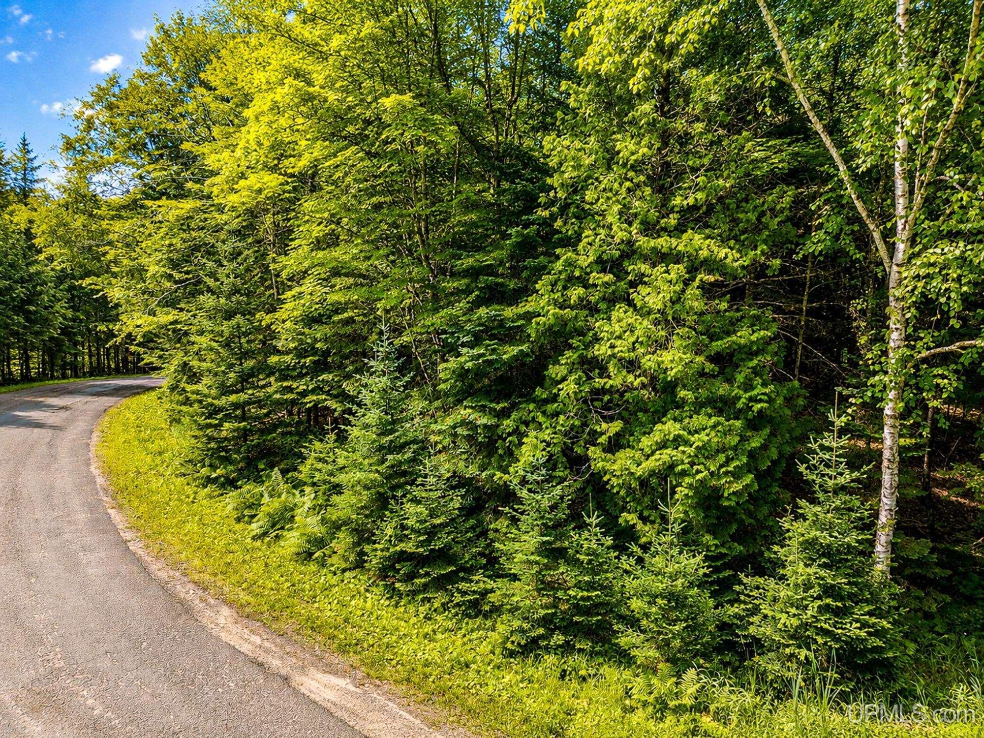 Lot 4 State Line Lake Road East Marenisco, MI 49947 - Photo 12 of 16