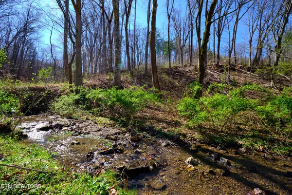 $89,900 | 3212 Long Hollow Road, Powell, TN 37849