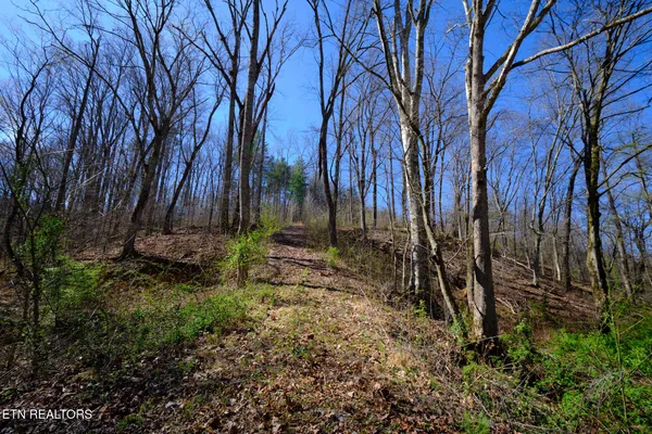 $89,900 | 3212 Long Hollow Road, Powell, TN 37849