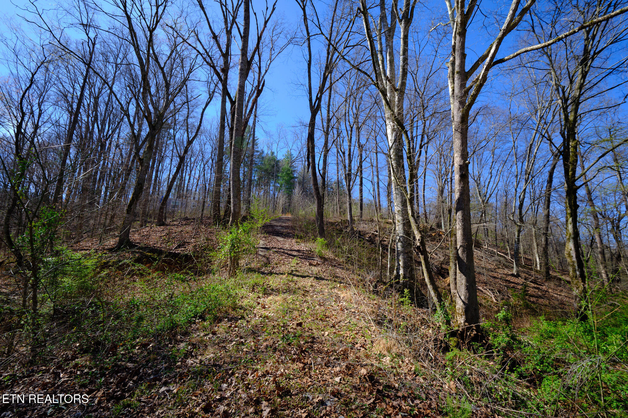3212 Long Hollow Road Powell, TN 37849 - Photo 3 of 12 3212 Long Hollow Rd Powell, TN