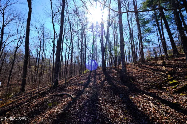 $89,900 | 3212 Long Hollow Road, Powell, TN 37849