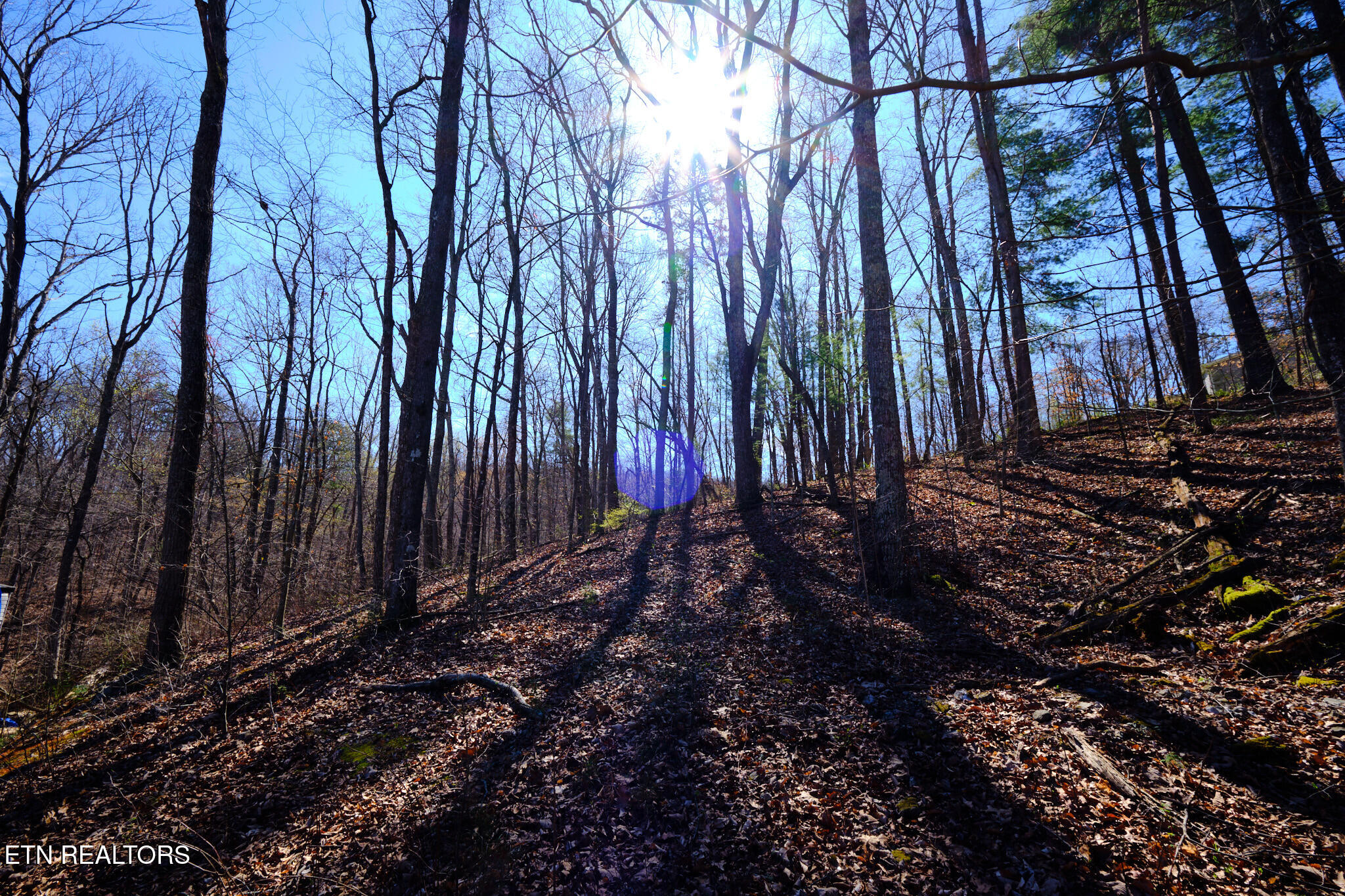 3212 Long Hollow Road Powell, TN 37849 - Photo 4 of 12 3212 Long Hollow Rd Powell, TN 11