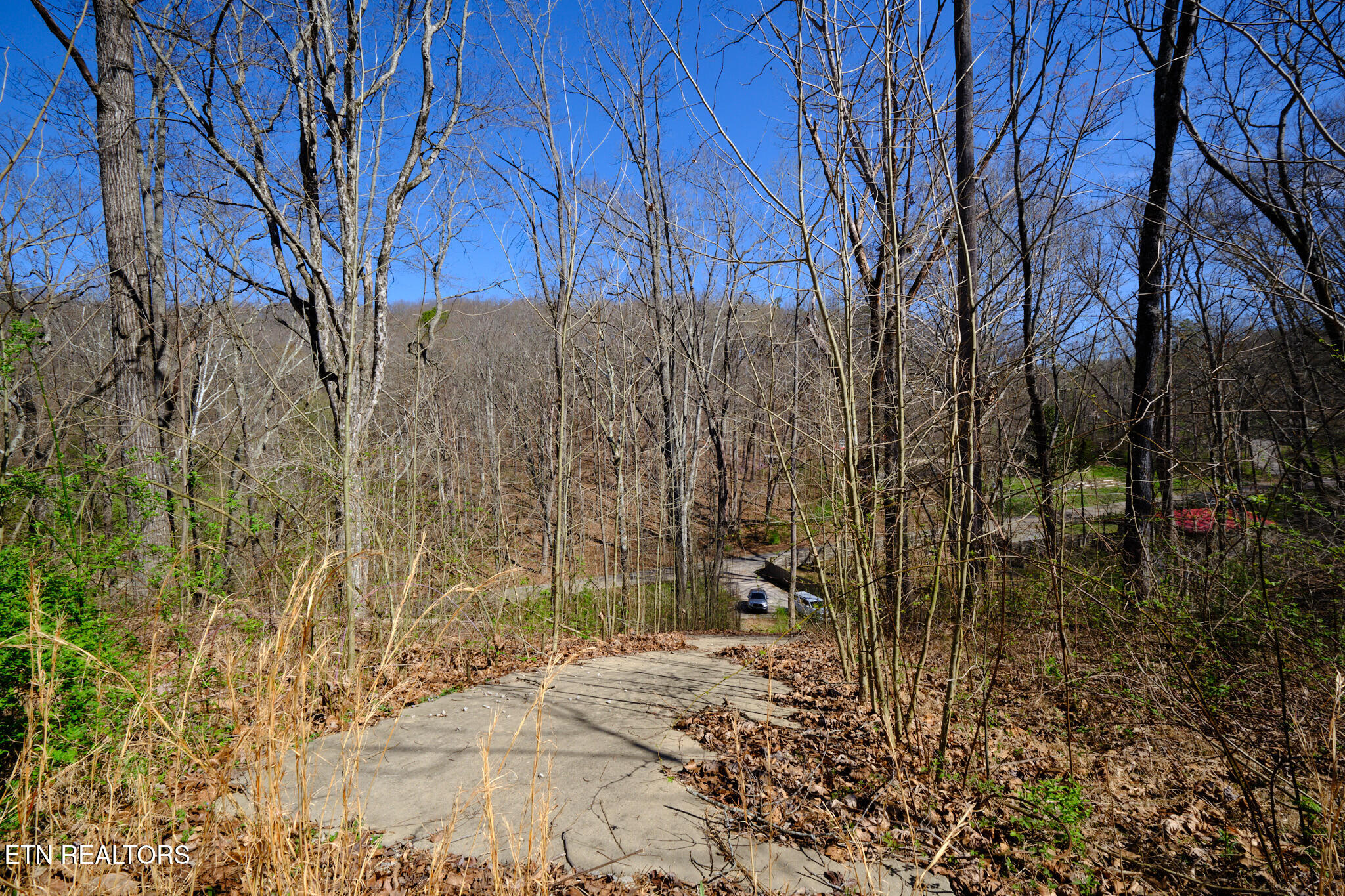 3212 Long Hollow Road Powell, TN 37849 - Photo 6 of 12 3212 Long Hollow Rd Powell, TN 20