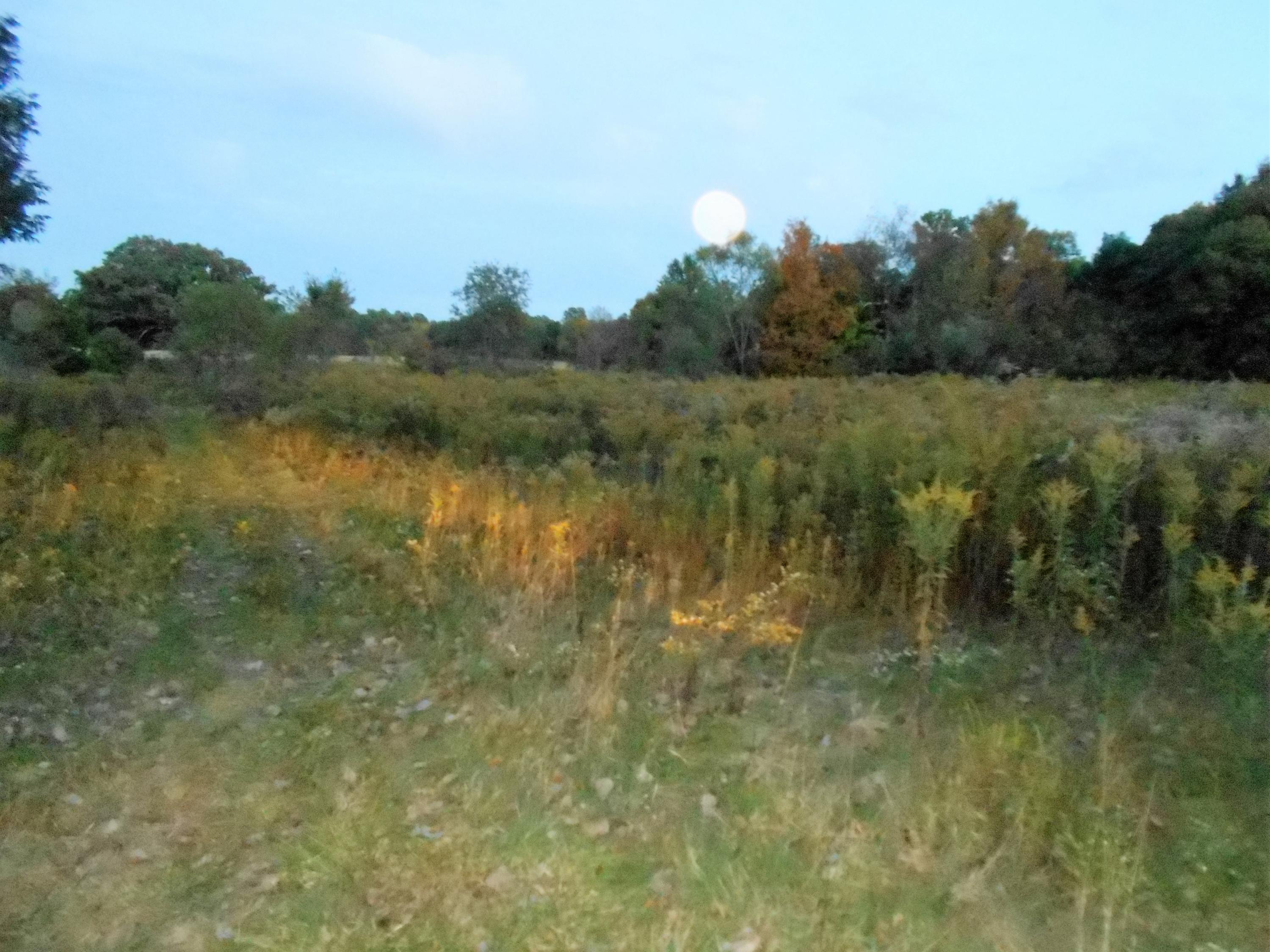 0 North Galena Road, Unit TRACT #5 Sunbury, OH 43074 - Photo 2 of 3