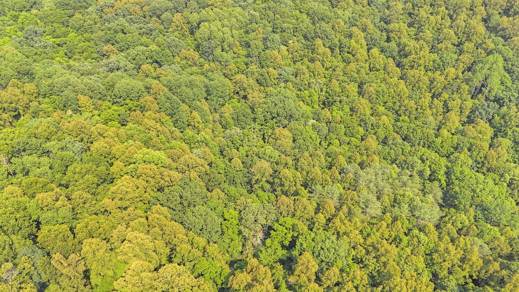 0 Thad Hall Road Laurelville, OH 43135 - Photo 18 of 28 16-web-or-mls-DJI_20240621161712_0074_D