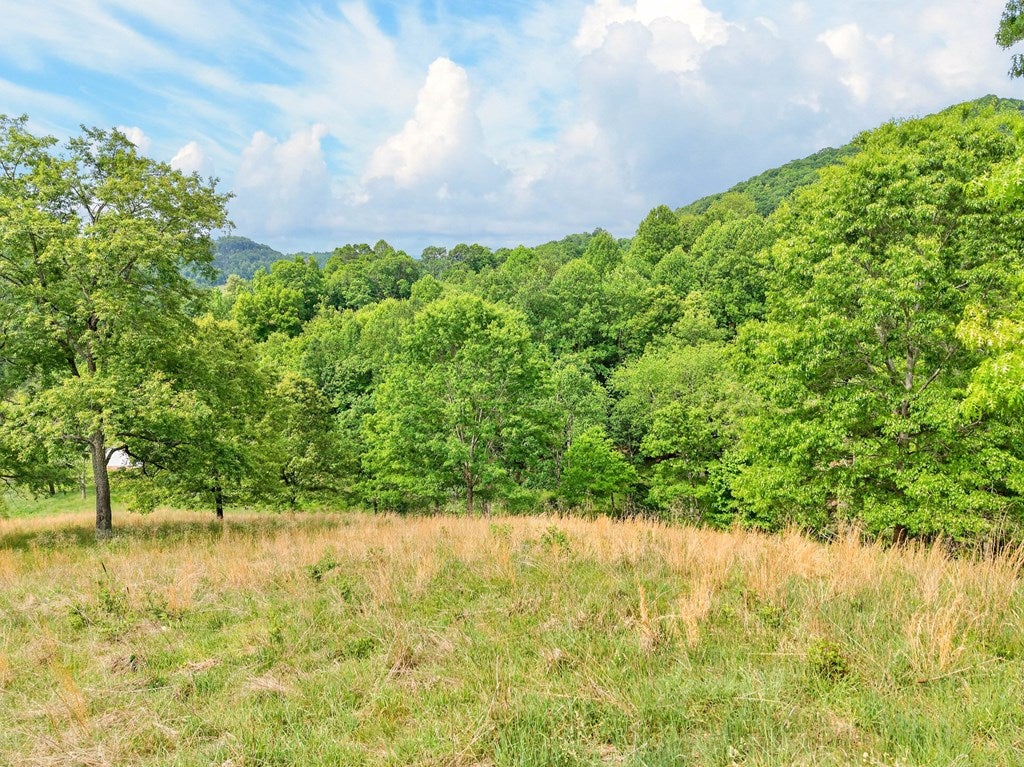 3771 Old Wilderness Road Ceres, VA 24318 - Photo 57 of 83 Gallery Image 57