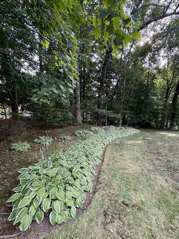 143 Mill Road Littleton, MA 01460 - Photo 33 of 42 Gallery Image 33